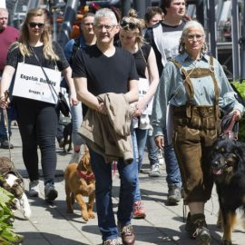 Kom med i Tivoli Friheden i Århus lørdag den 15. juni 2019