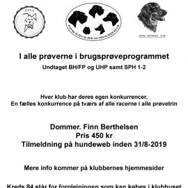 Klubmesterskab for brugshunde